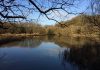 Country diary: quays to a transformation