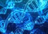 The Mechanics Of DNA Testing At Home