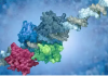 Unveiling Cancer Biomarkers: How Luminex Technology is Transforming Oncology Research