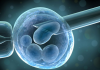 Revolutionizing Design: Engineered Nanoparticles for Enhanced Immune Responses
