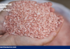 Potash Prices: A Comprehensive Guide to Trends, Index, Historical Charts, and Forecasts by Procurement Resource