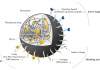 PLGA Nano Drug Carrier