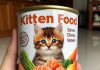 The Best Kitten Food – Ensuring Optimal Nutrition for Your Furry Friend