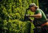 G & C Tree Service LLC: Leading Tree Trimming Experts in Huntsville, Alabama